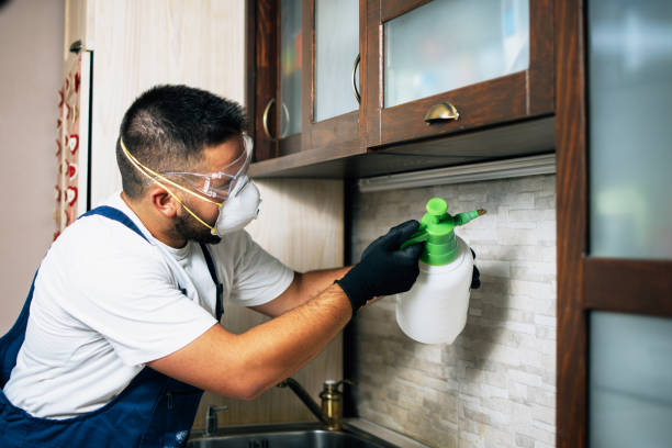 Best Pest Control Near Me  in Garnett, KS