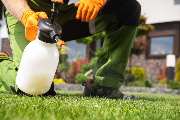 Reliable Garnett, KS Pest Control Solutions