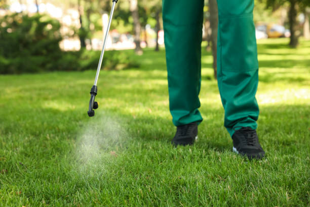 Best Bed Bug Extermination  in Garnett, KS