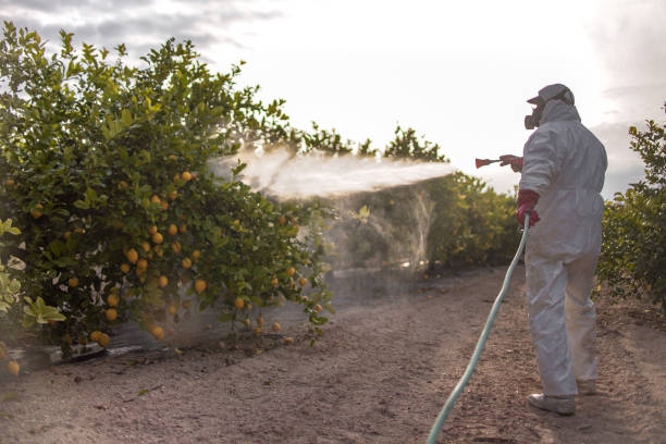 Best Best Pest Control Companies  in Garnett, KS