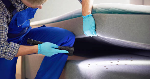 Best Termite Control Services  in Garnett, KS