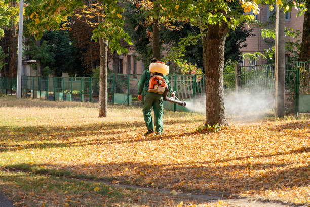 Pest Control for Restaurants in Garnett, KS