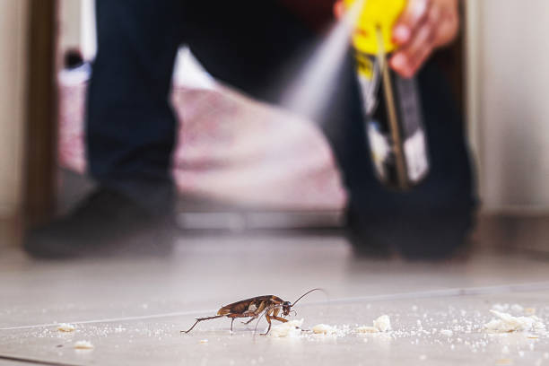 Best Mosquito Control Services  in Garnett, KS