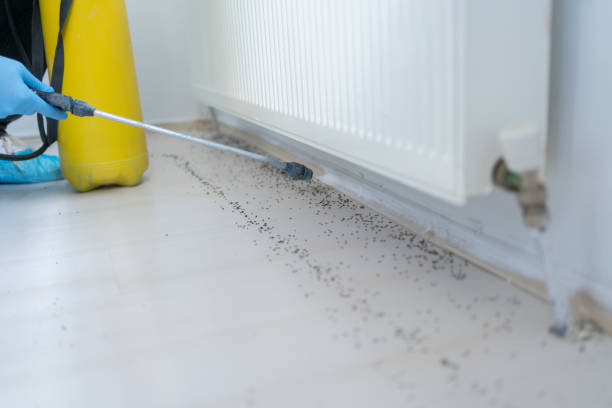 Best Pest Control Treatment  in Garnett, KS