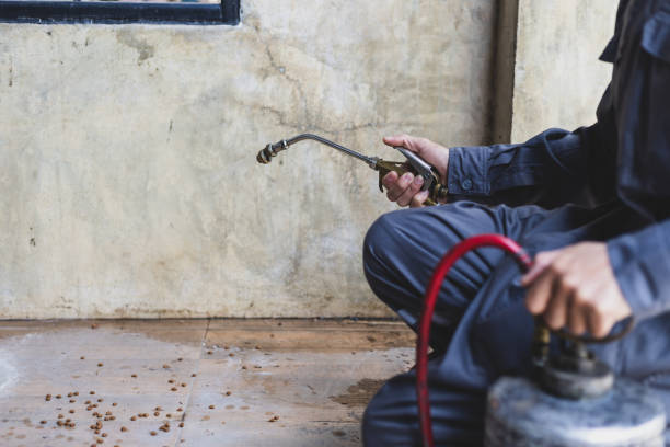 Best Best Pest Control Companies  in Garnett, KS